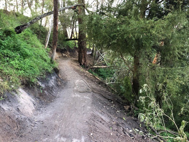 Harding Park bike trail